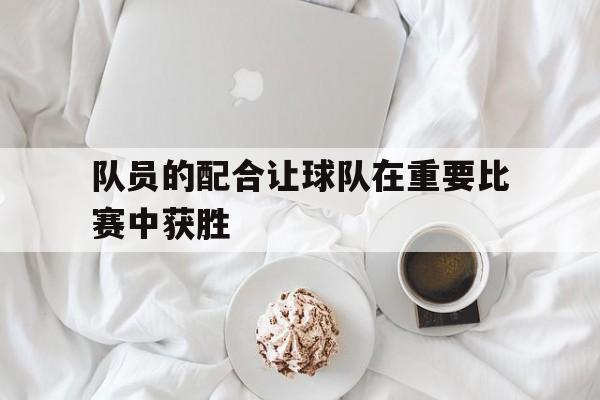 九州娱乐-队员的配合让球队在重要比赛中获胜英语